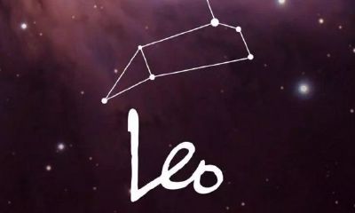 狮子女和巨蟹男配对