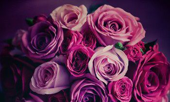 属虎的性格特点有哪些