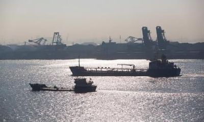 2019年正月十三出生的女孩五行缺木名字推荐大全