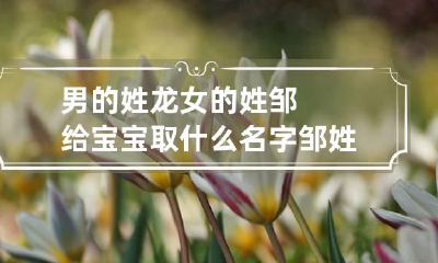 男的姓龙女的姓邹给宝宝取什么名字 邹姓龙凤胎宝宝取名