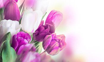 属虎人让人感到讨厌的坏习惯