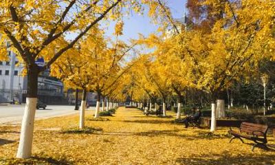 2019年立秋是哪一天？立秋是什么意思呢？