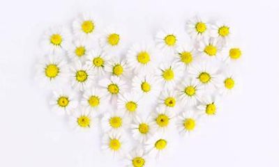 2020年农历十月初八出生五行属土男孩取名