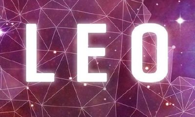 狮子女和处女男配对