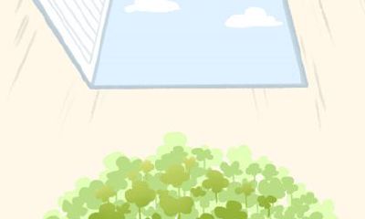 泓翔老师2017年5月属马事业运势