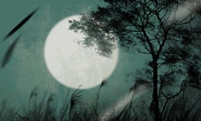 2023属兔的反月出生好吗