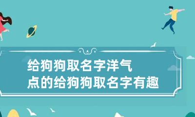 给狗狗取名字洋气点的 给狗狗取名字有趣
