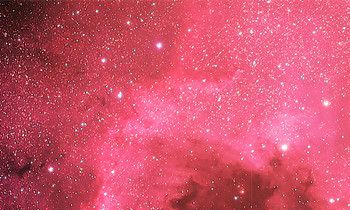 属虎看恐怖片会是什么反应