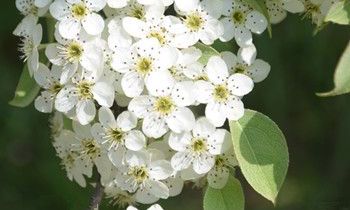 属虎人会在人生哪个阶段遭遇财政危机