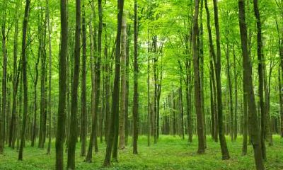 2020年农历八月二十三日出生的男孩五行缺什么，起什么名字好？