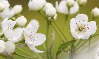 属虎人遇见碰瓷的会怎样解决