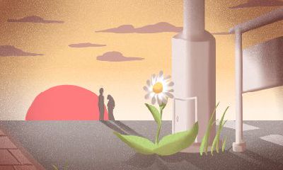 泓翔老师2017年5月属鸡运势