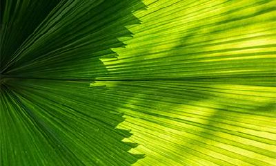 2019年小年出生男孩五行缺水起名字大全