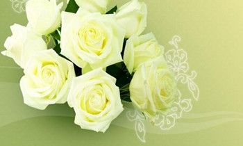 属虎人有了难言之隐会怎么处理