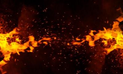 2019年小年出生的男孩五行缺木起名字推荐