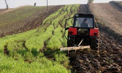 2020年农历十月十四出生男宝宝五行属土好听名字
