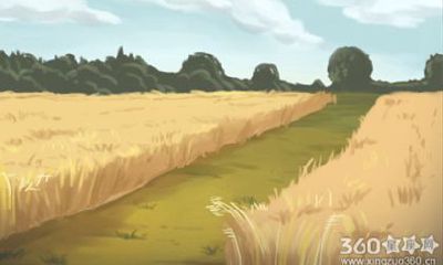 熊神进每周生肖运势【2016.6.11-6.17】