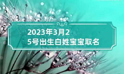 2023年3月25号出生白姓宝宝取名叫什么 2023年3月25日