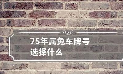 75年属兔车牌号选择什么