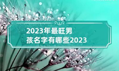 2023年最旺男孩名字有哪些 2023年起名字