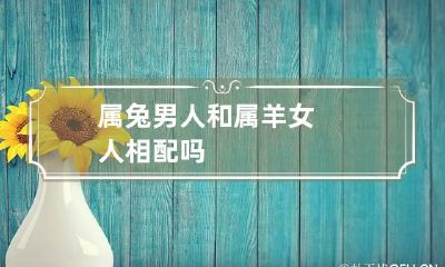 属兔男人和属羊女人相配吗