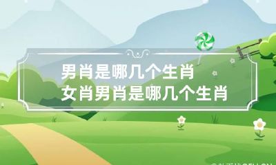 男肖是哪几个生肖 女肖男肖是哪几个生肖