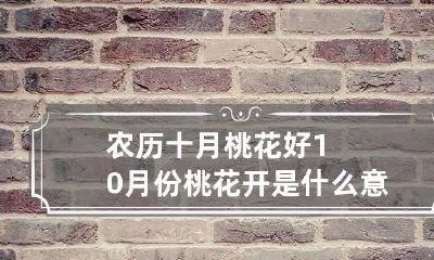 农历十月桃花好 10月份桃花开是什么意思