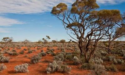 农历五月的牛宝宝好不好，五行缺什么？