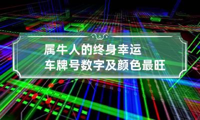 属牛人的终身幸运车牌号数字及颜色 最旺属牛人的5个数字车牌