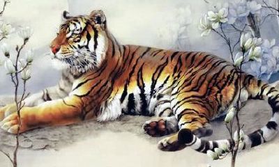 1998年属虎的人2019年运势大全及破解