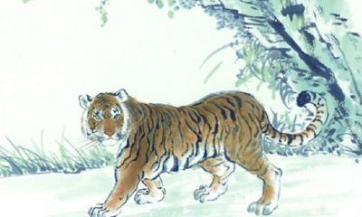 生肖虎几点出生命运最好？关于生肖虎人你了解多少？