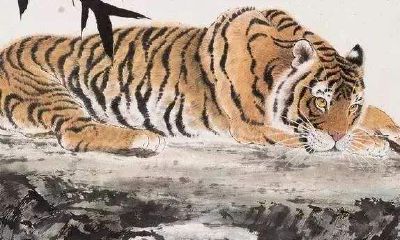 属虎巳时出生是什么虎？生肖虎的命理分析大全