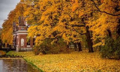 2020年农历七月二十四出生五行缺木男孩名字推荐