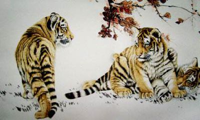 生肖虎申时出生财运怎么样？什么是申时？