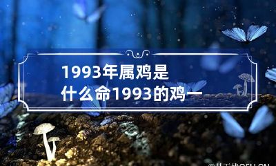1993年属鸡是什么命 1993的鸡一生婚姻状况