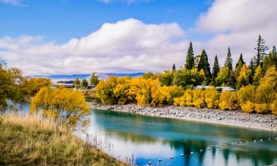 2020年小暑节气出生的女孩好听100分名字取名