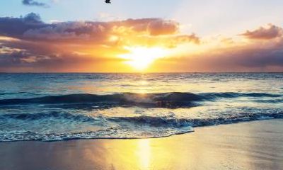 2020年农历七月二十二出生男孩五行缺土有含义好名字推荐