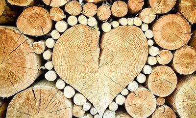 夏天出生宝宝免费八字五行取名,夏天生缺什么五行？