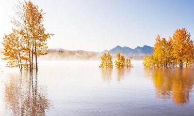 2018年夏季生男宝宝五行起名,夏季生男孩属什么五行？