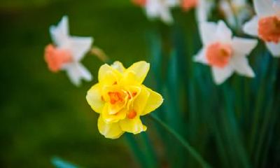 立春可以同房吗？立春有什么禁忌？