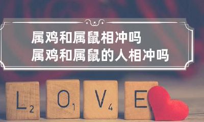 属鸡和属鼠相冲吗 属鸡和属鼠的人相冲吗