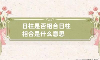 日柱是否相合 日柱相合是什么意思