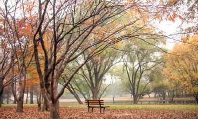 2020年立秋前一天可以搬家乔迁吗？搬家有什么讲究和忌讳？