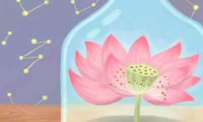 1972年属鼠人2021年全年运势女 婚姻运如何