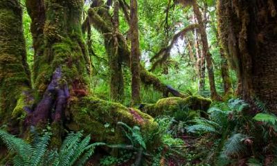 冬天出生五行取名大全,冬天宝宝怎么五行起名？