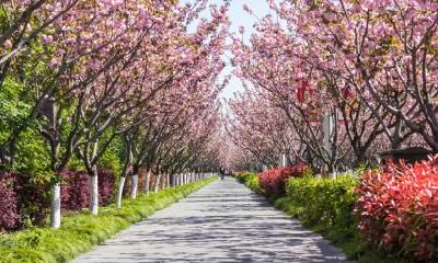 如何给五行缺金的男孩起名？五行缺金宝宝命好不好？