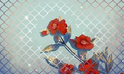 2021年属鼠结婚好不好 婚姻顺利吗