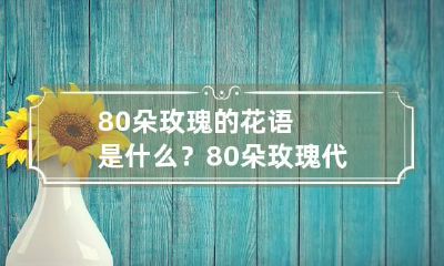 80朵玫瑰的花语是什么？80朵玫瑰代表什么意思？