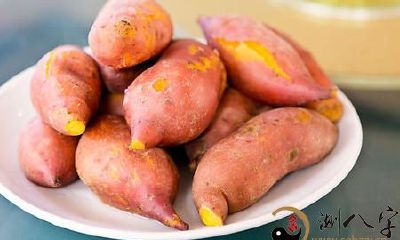 梦见好多地瓜在田里