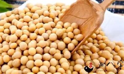 梦见黄豆大丰收